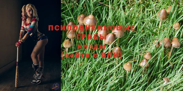 эйфоретик Волосово