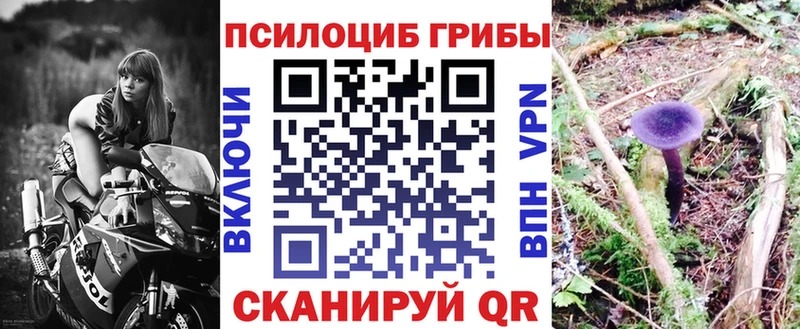 Псилоцибиновые грибы мухоморы Ессентуки